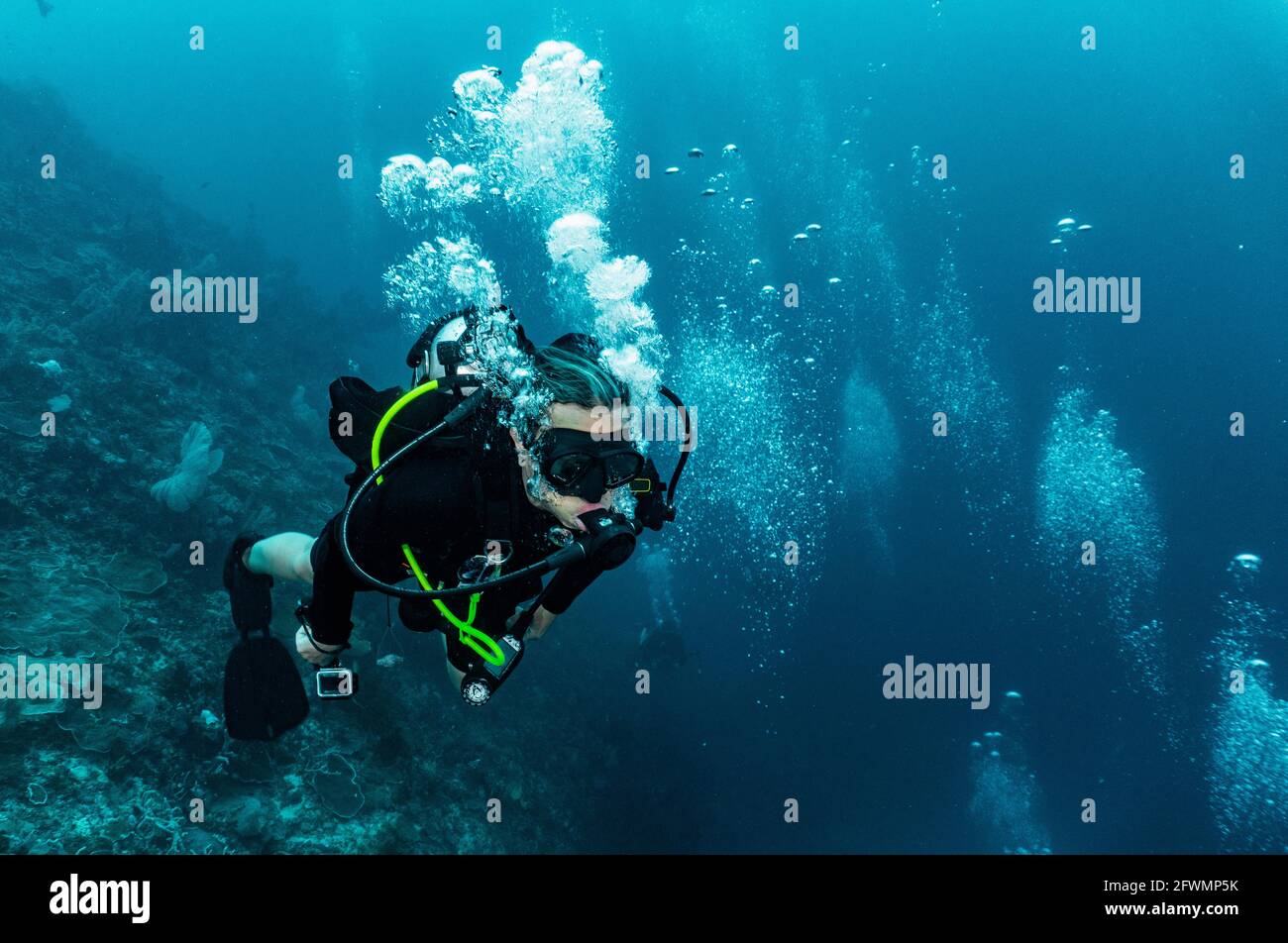 tauch beim Erkunden des Ozeans bei Raja Ampat Stockfoto