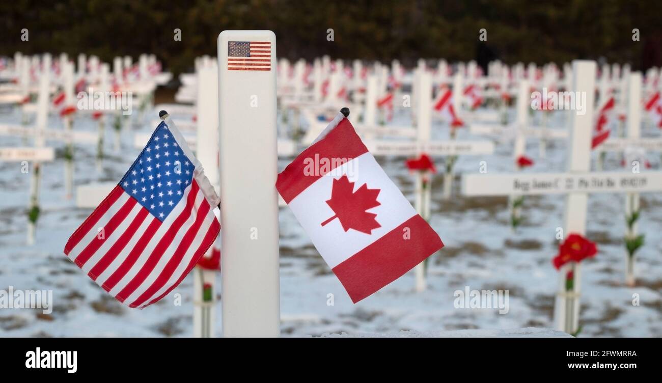 Amerikanische und kanadische Flaggen fliegen im Kreuzfeld, Gedenkstätte für gefallene Soldaten am Remembrance Day, Memorial Drive Stockfoto