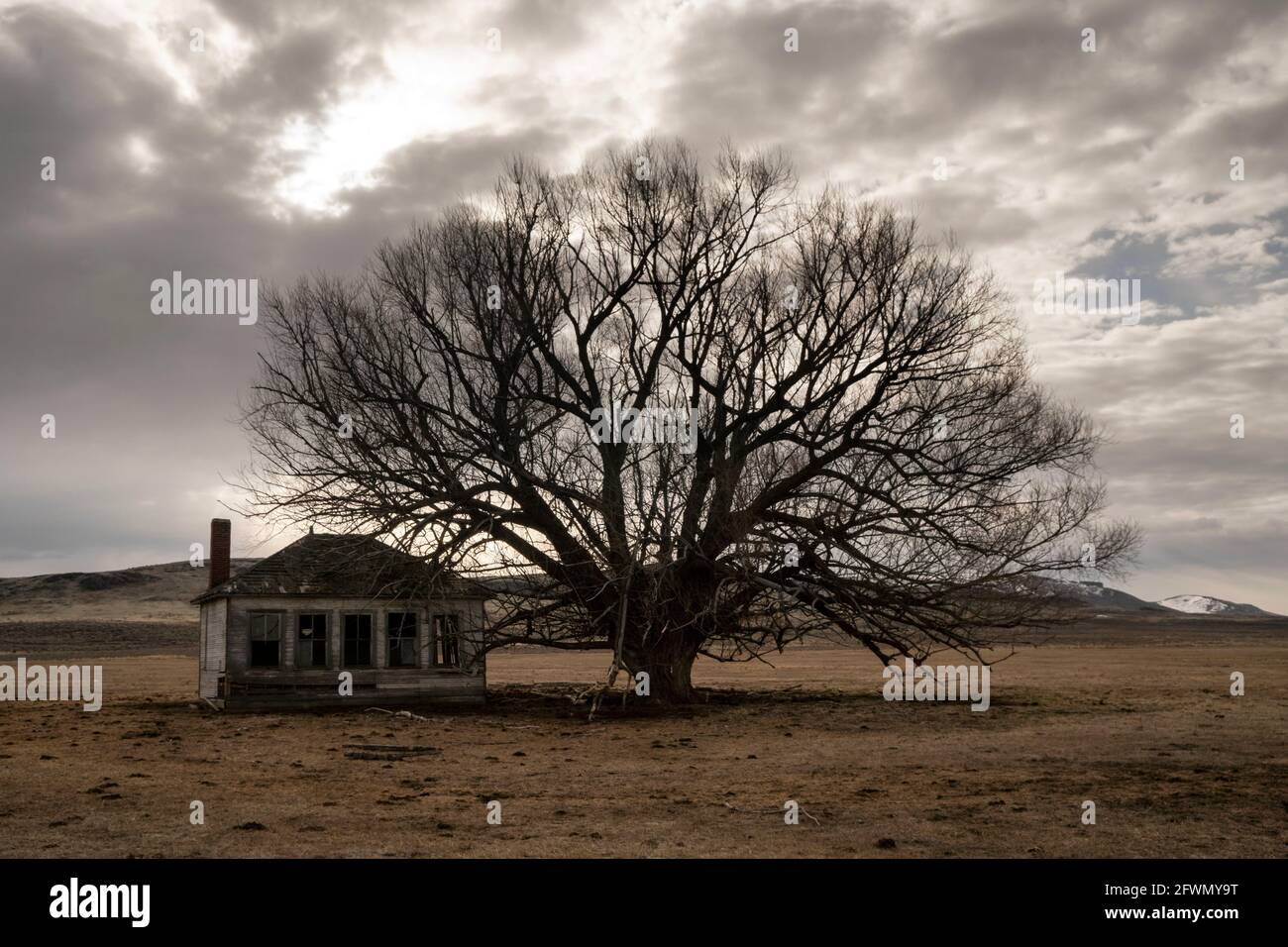 Altes Schulhaus in der Nähe von Jordan Valley, Oregon im späten Winter Stockfoto