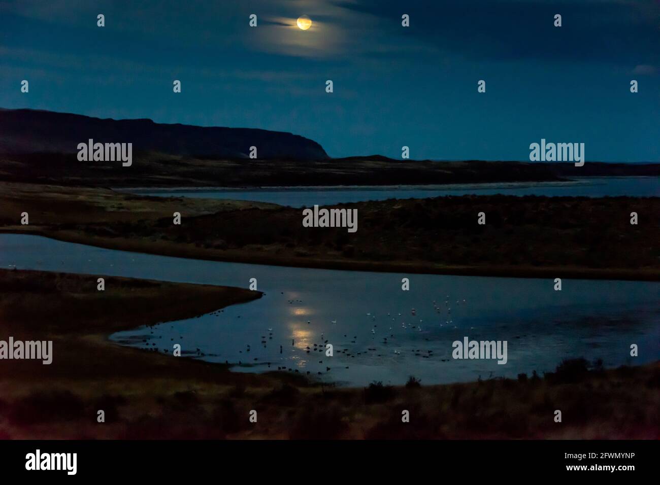 Mondaufgang mit Seevögeln, Lago Sarmiento, Patagonien Stockfoto