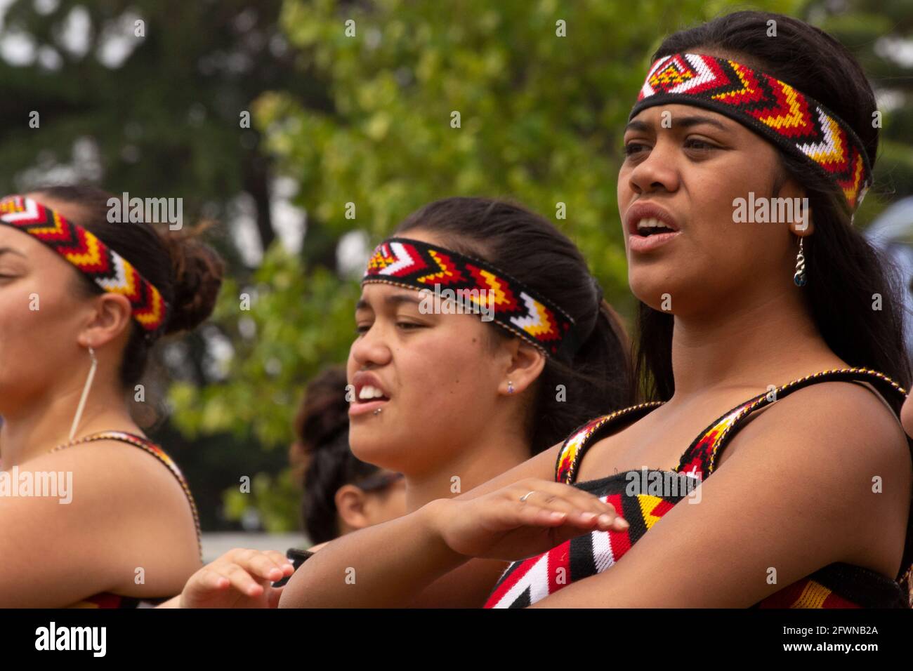 Auckland, Neuseeland. Maori-kulturelle Darbietung bei den Feierlichkeiten zum Waitangi-Tag Stockfoto