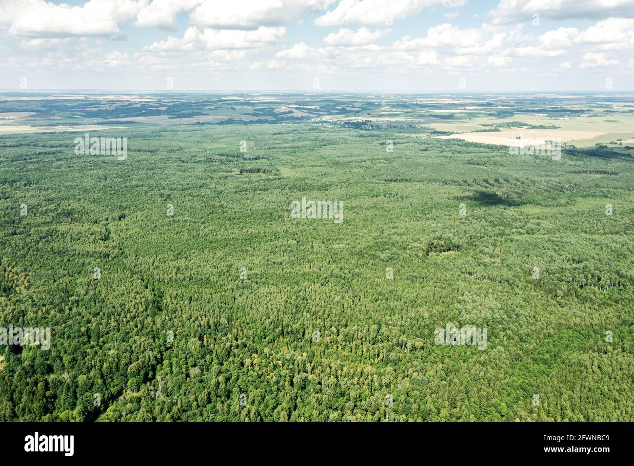 Ländliche Landschaft mit grünem Wald und landwirtschaftlichen Feldern am Horizont. Luftdrohne Foto Stockfoto