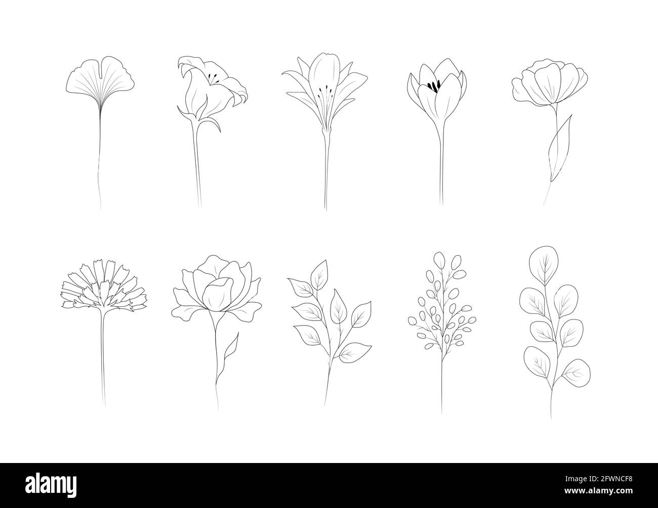 Sammlung von linearen Blumen. Abstraktes minimalistisches Design für Logo, Hochzeitseinladungen, Postkarten, Textilien. Moderne Vektorgrafik Stock Vektor