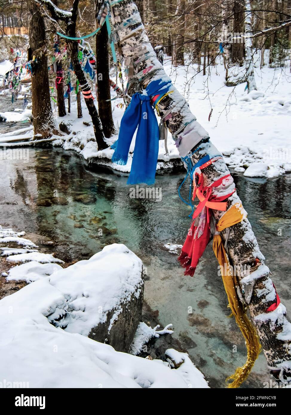 Custom farbige Seile auf Bäumen zu binden, um Wünsche zu erfüllen, Winterhintergrund Stockfoto