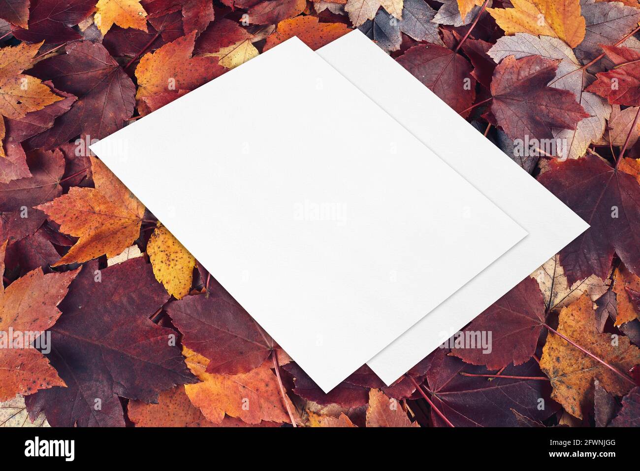 Zwei leere Kartenmockups, die diagonal auf dem Fall liegen, hinterlassen den Hintergrund Stockfoto