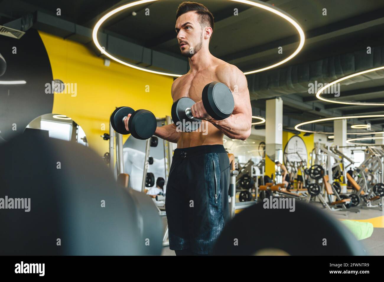 Hübscher junger sportlicher Bodybuilder, der Langhantel im Fitnessstudio macht Stockfoto
