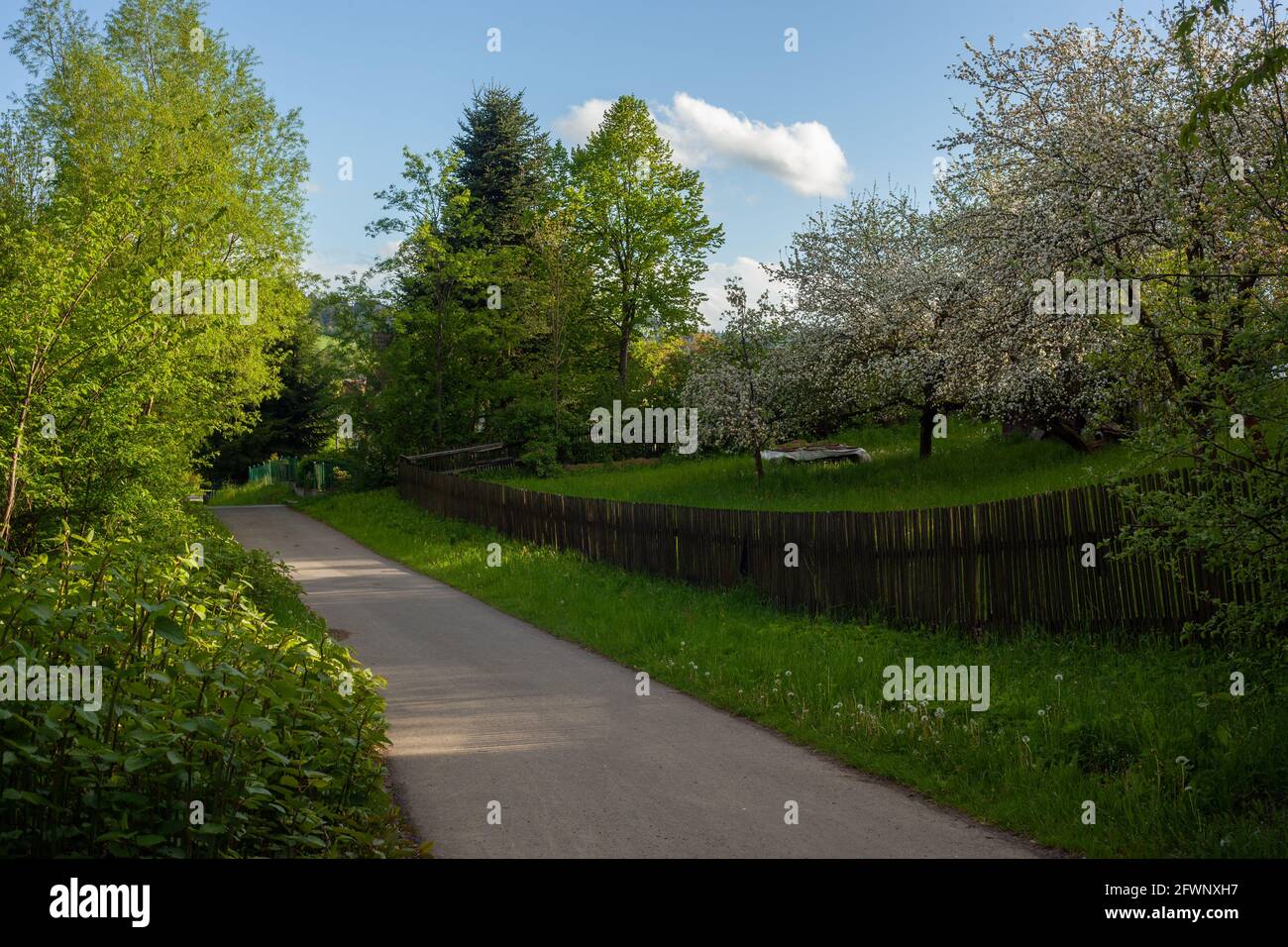 Der Radweg führt durch Gärten mit blühenden Bäumen Stockfoto