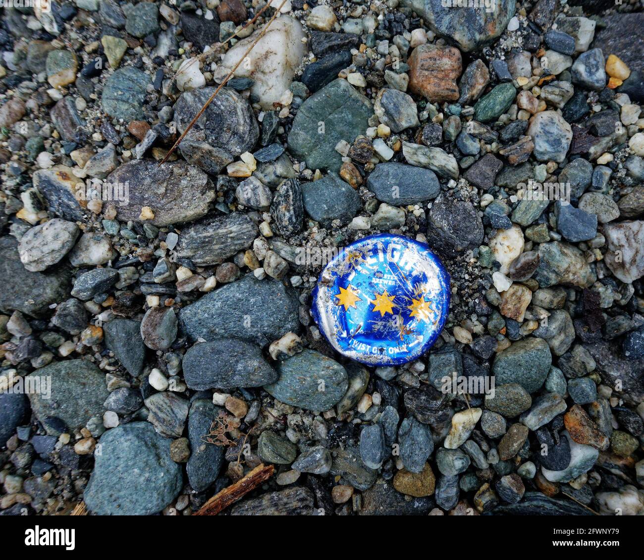 Illustratives Editorial: Speights Bierflasche oben in einen steinigen Strand getreten, Westküste, Südinsel, Neuseeland. Stockfoto