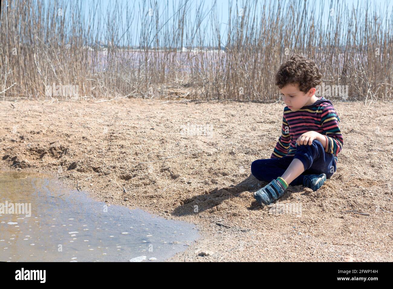 Kleiner Junge von 4-5 Jahren Kaukasisch mit lockigem Haar, der am sonnigen Tag mit Sand am Rand des Teiches spielt, mit farbigem gestreiftem Hemd Stockfoto
