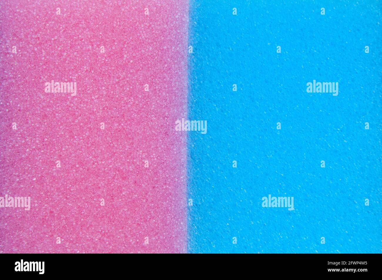 Ein Nahaufnahme von zwei Waschschwämmen, einem rosa und einem blauen Schwämmchen, nebeneinander Stockfoto