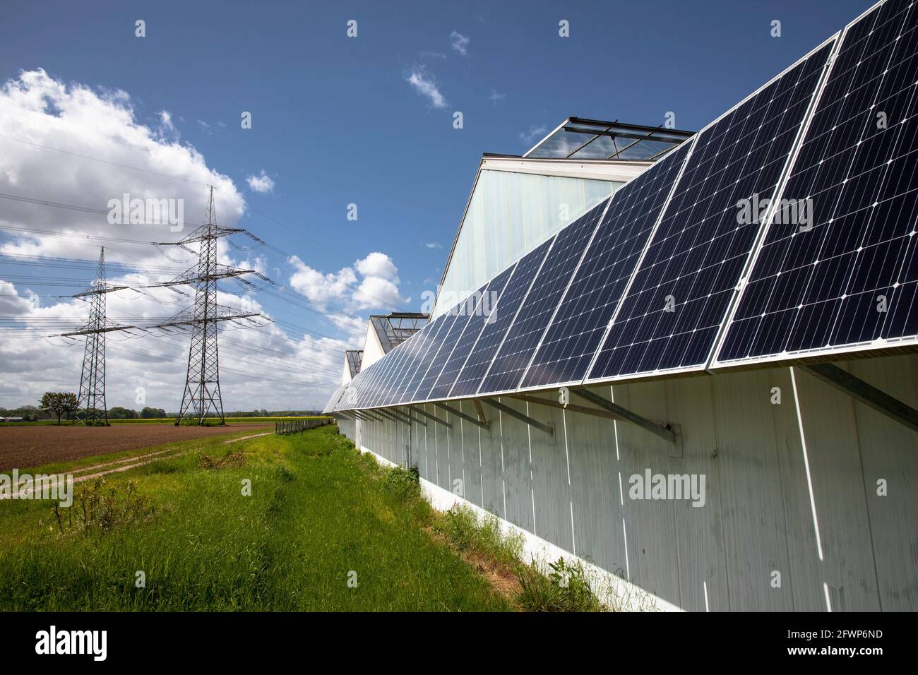 Photovoltaikmodule, Sonnenkollektoren auf Gewächshäusern eines Kindergartens in Pulheim-Sinnersdorf, Nordrhein-Westfalen, Deutschland. Photovoltaikanlage, So Stockfoto