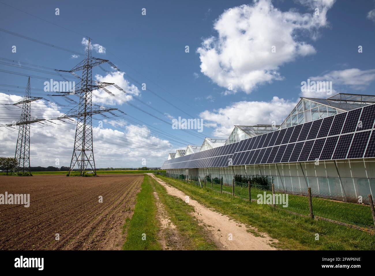 Photovoltaikmodule, Sonnenkollektoren auf Gewächshäusern eines Kindergartens in Pulheim-Sinnersdorf, Nordrhein-Westfalen, Deutschland. Photovoltaikanlage, So Stockfoto