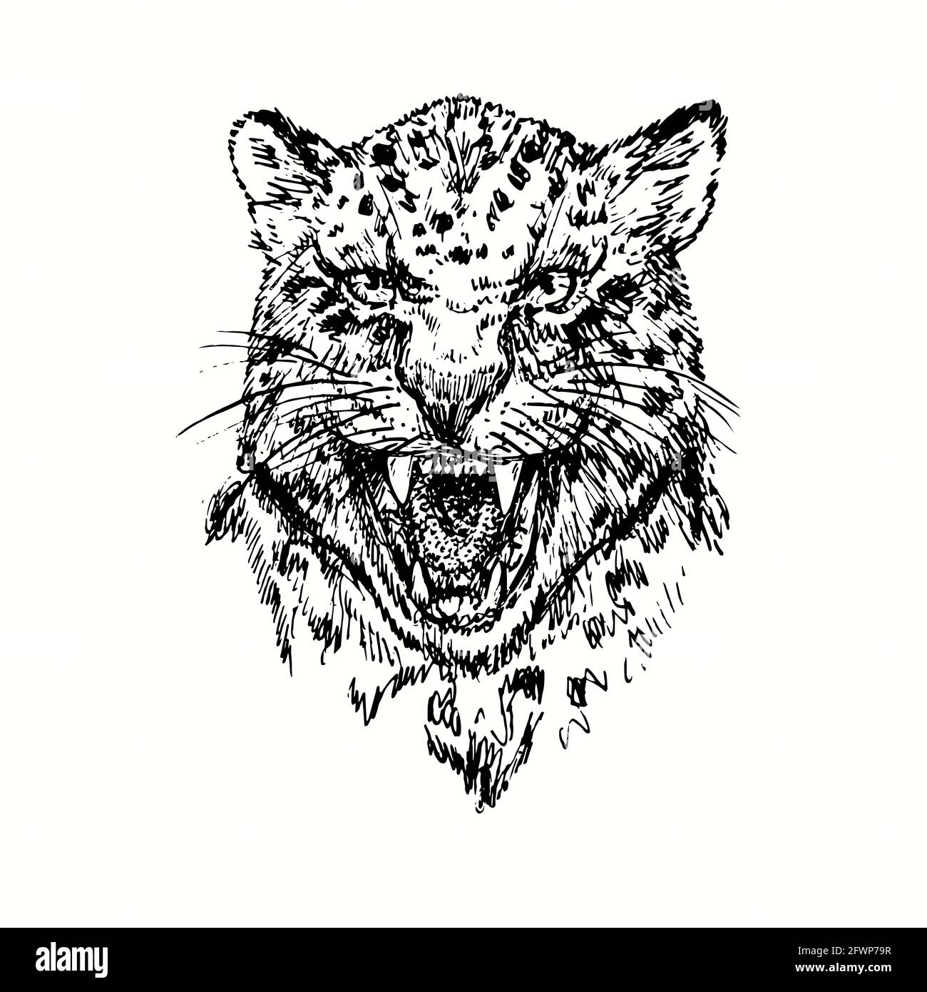 Geparden knurrende Schnauze. Tusche schwarz-weiße Doodle Zeichnung im Holzschnitt-Stil. Stockfoto