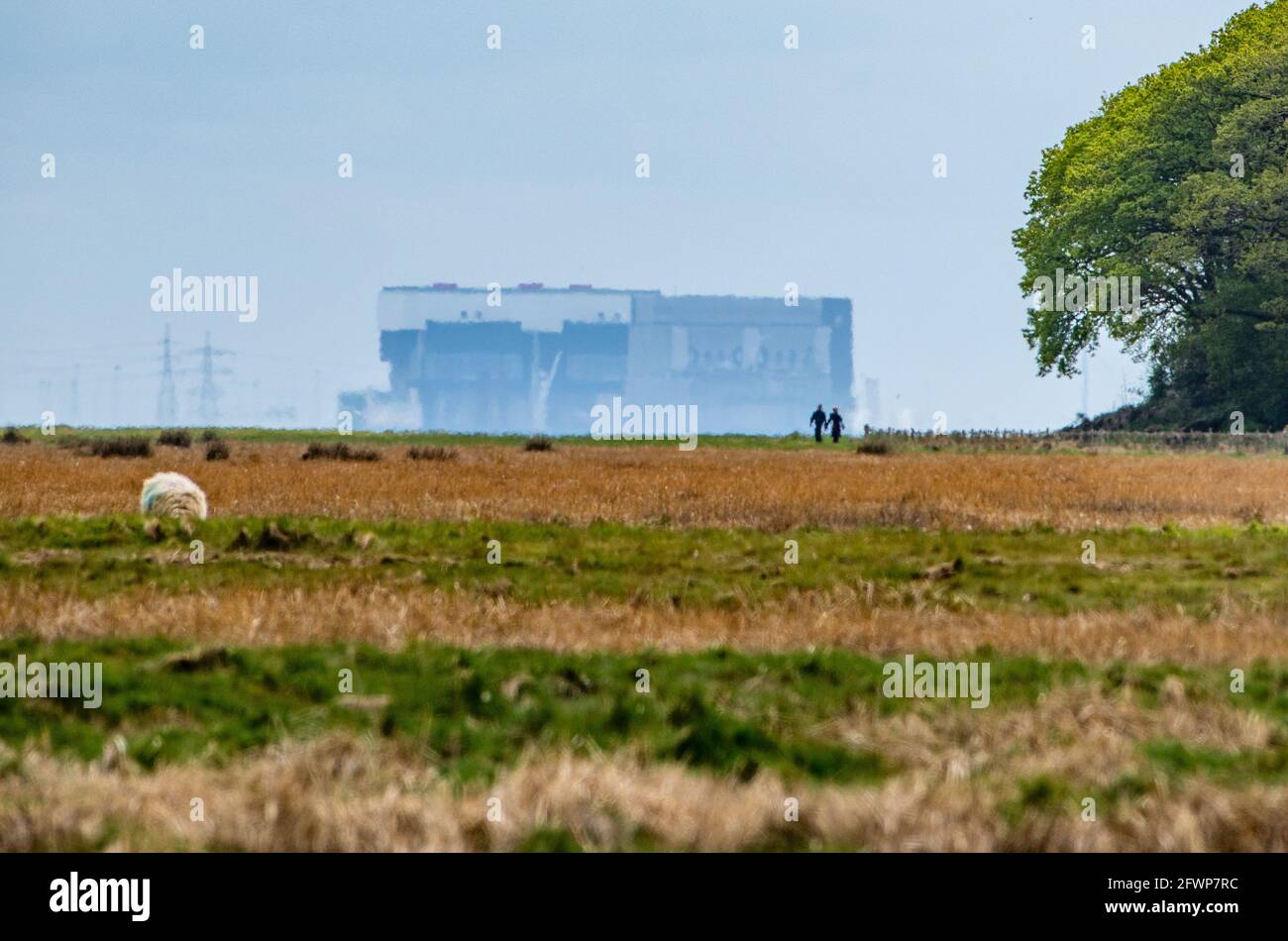 Blick auf das Kernkraftwerk Heysham vom Salzmarsch in Humphrey Head, Grange-over-Sands, Cumbria. Stockfoto