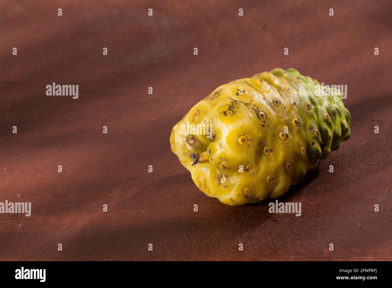 Morinda citrifolia - Noni Frucht mit vielen medizinischen Eigenschaften. Stockfoto