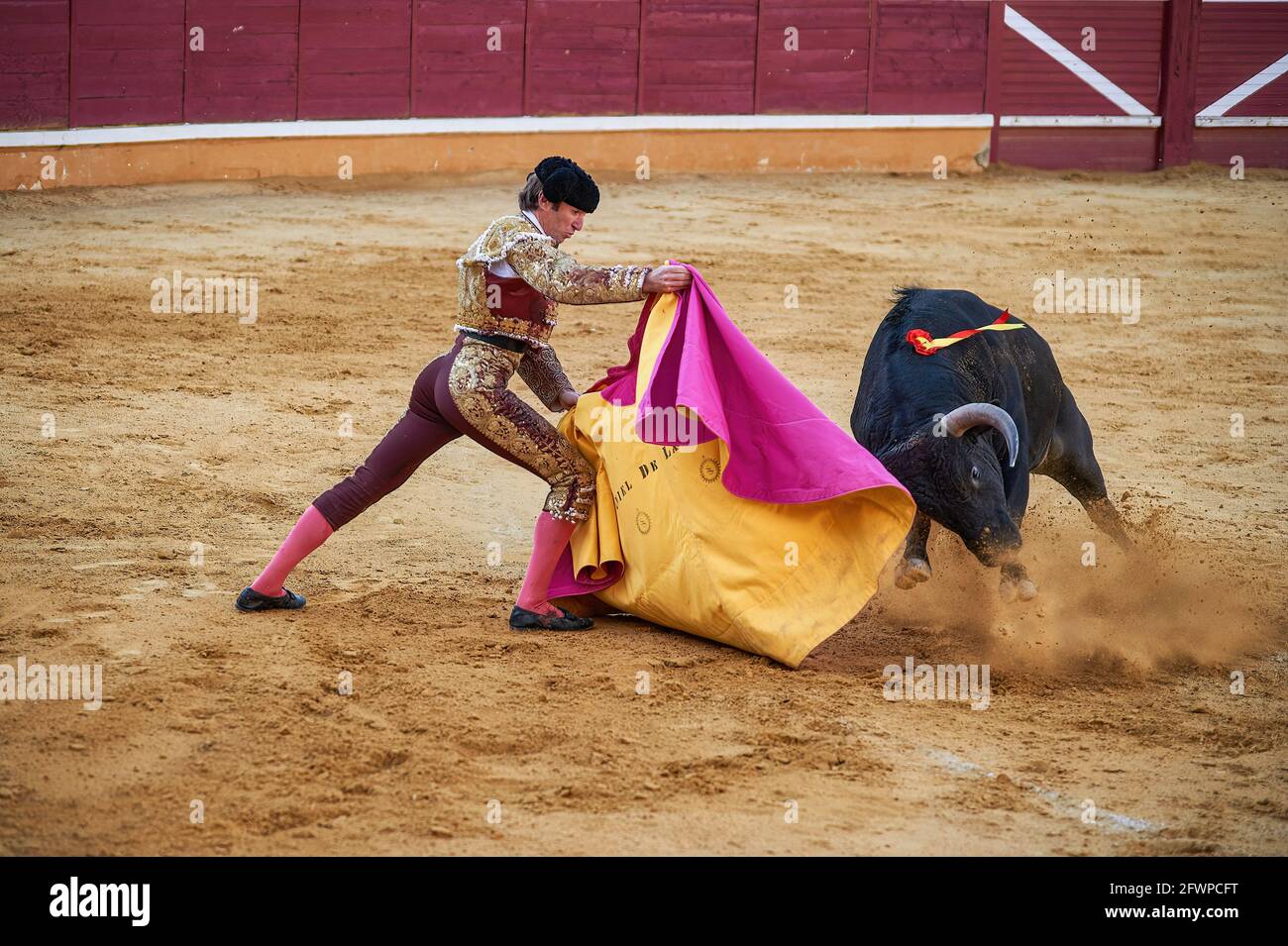 Tudela, Navarra, Spanien. Mai 2020. Daniel de la Fuente tritt mit einem El Canario Ranch Kampf Stier auf der Plaza de Toros Tudela (Plaza de Toros de Tudela) in Tudela.sechs Bullen von der ''El Canario'' Rinderfarm in Salamanca, Spanien, Haben heute am 23. Mai an den Stierkämpfen der jungen Stierkämpfer Daniel de la Fuente, Daniel Barbero und Diego GarcÃŒa in der Stierkampfarena von Tudela, Navarra, Spanien, teilgenommen. Die Kapazität mit den Maßnahmen von Covid 19 zu jeder Zeit zu respektieren. Kredit: Elsa A Bravo/SOPA Images/ZUMA Wire/Alamy Live Nachrichten Stockfoto