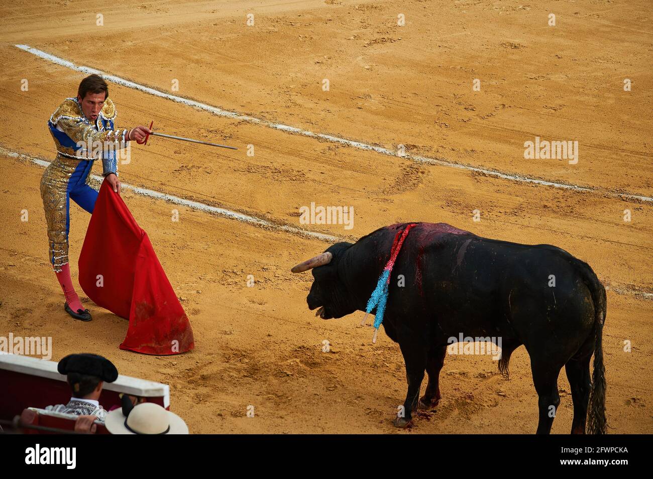 Tudela, Navarra, Spanien. Mai 2020. Daniel Barbero tritt mit einem El Canario Ranch Kampfbullen auf der Plaza de Toros Tudela (Plaza de Toros de Tudela) in Tudela auf.sechs Bullen der Rinderfarm ''El Canario'' in Salamanca, Spanien, haben heute am 23. Mai an den Stierkämpfen der jungen Stierkämpfer Daniel de la Fuente teilgenommen, Daniel Barbero und Diego GarcÃŒa in der Stierkampfarena von Tudela, Navarra, Spanien. Die Kapazität mit den Maßnahmen von Covid 19 zu jeder Zeit zu respektieren. Kredit: Elsa A Bravo/SOPA Images/ZUMA Wire/Alamy Live Nachrichten Stockfoto