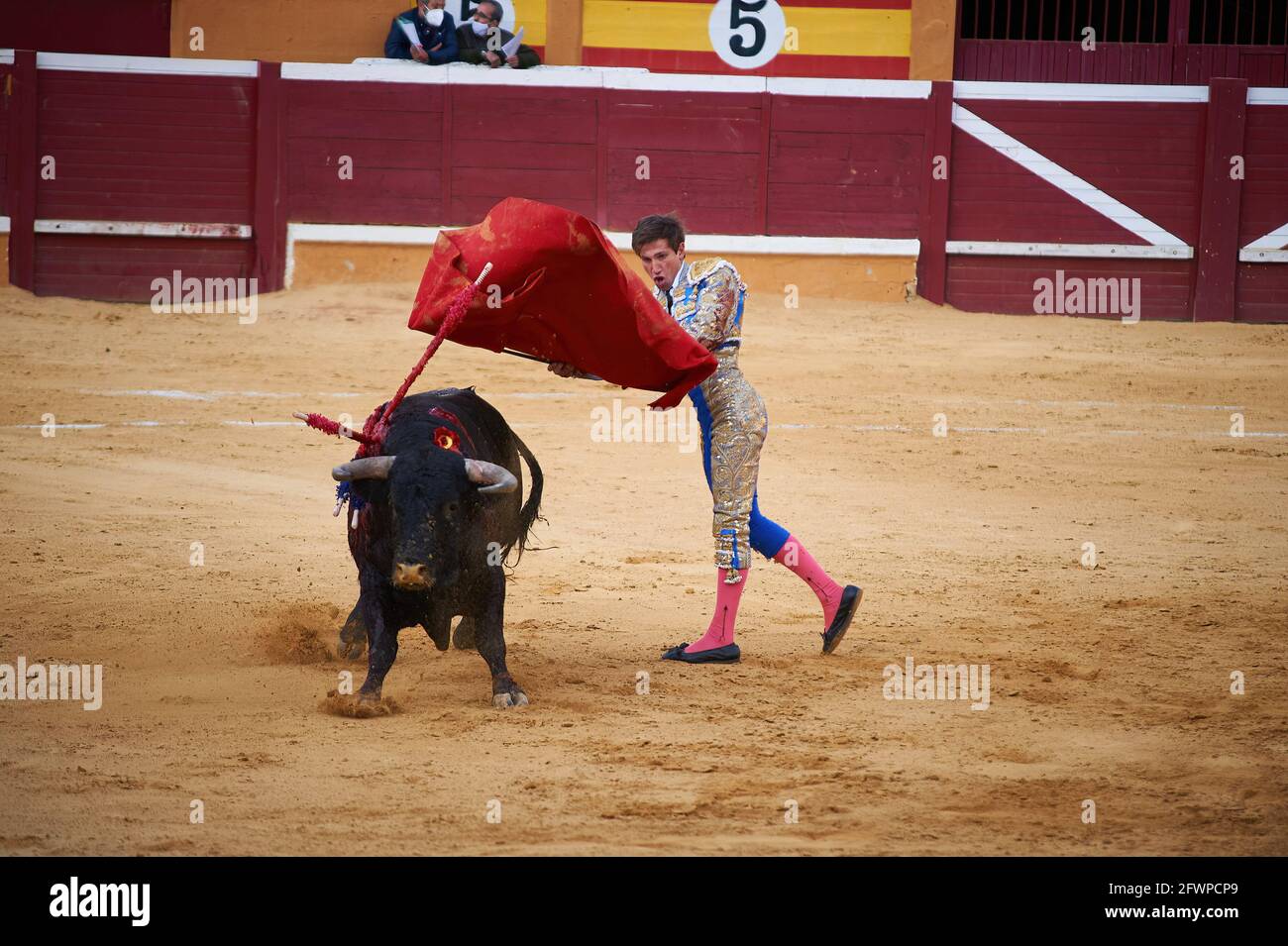 Tudela, Navarra, Spanien. Mai 2020. Daniel Barbero tritt mit einem El Canario Ranch Kampfbullen auf der Plaza de Toros Tudela (Plaza de Toros de Tudela) in Tudela auf.sechs Bullen der Rinderfarm ''El Canario'' in Salamanca, Spanien, haben heute am 23. Mai an den Stierkämpfen der jungen Stierkämpfer Daniel de la Fuente teilgenommen, Daniel Barbero und Diego GarcÃŒa in der Stierkampfarena von Tudela, Navarra, Spanien. Die Kapazität mit den Maßnahmen von Covid 19 zu jeder Zeit zu respektieren. Kredit: Elsa A Bravo/SOPA Images/ZUMA Wire/Alamy Live Nachrichten Stockfoto