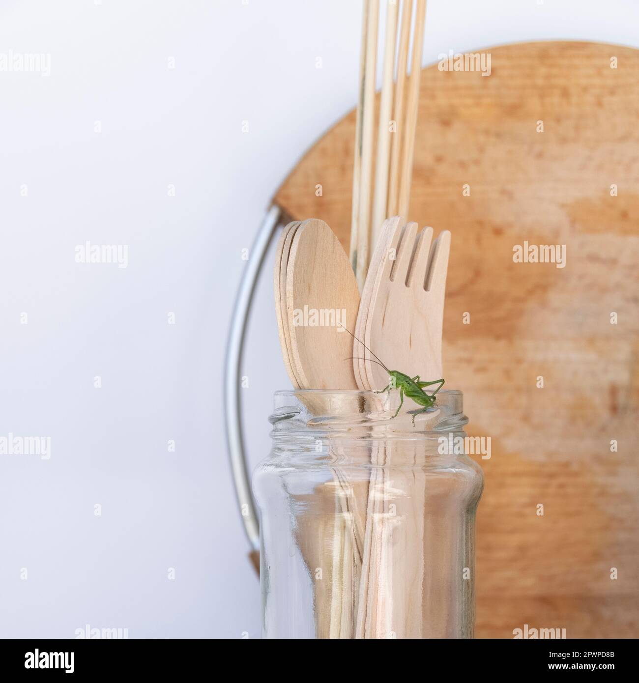 Umweltfreundliche wiederverwendbare Küchenutensilien mit einer kleinen Heuschrecke auf ihnen. Ökologie, Recycling, kein Kunststoff, Null-Abfall-Konzept Stockfoto