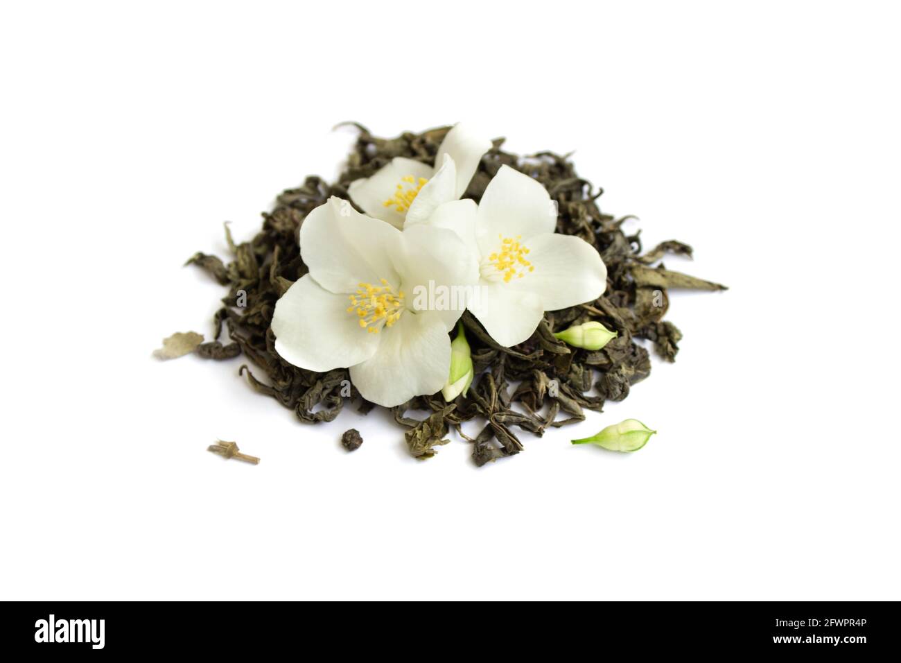 Grüner Tee mit Jasminblüten auf weißem, isoliertem Hintergrund, Nahaufnahme, Draufsicht Stockfoto