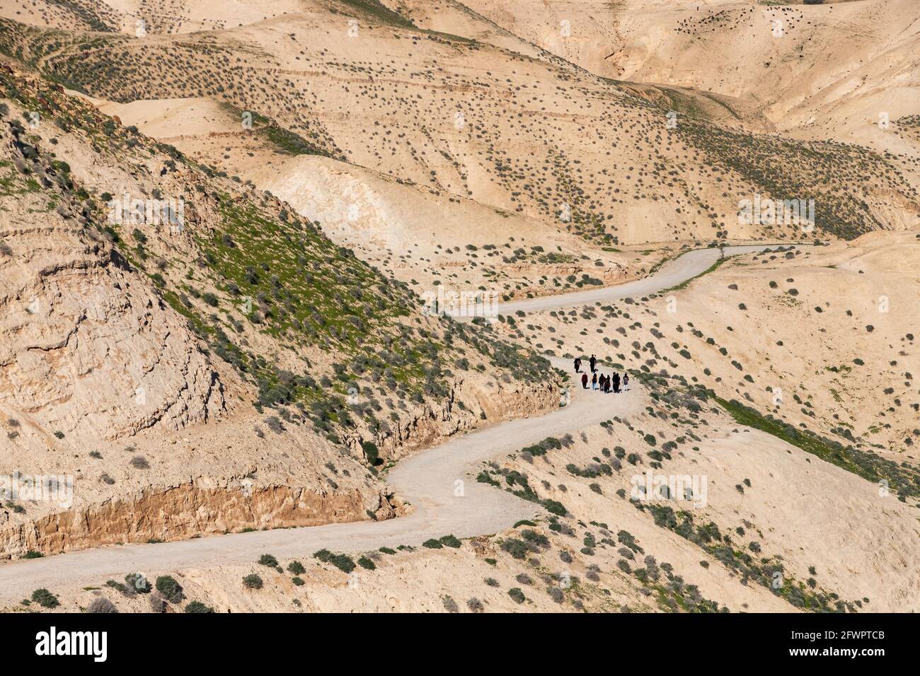 Die Straße auf dem Hang des sandigen Berges der Judäischen Wüste mit Frühlingsvegetation bedeckt. Israel Stockfoto