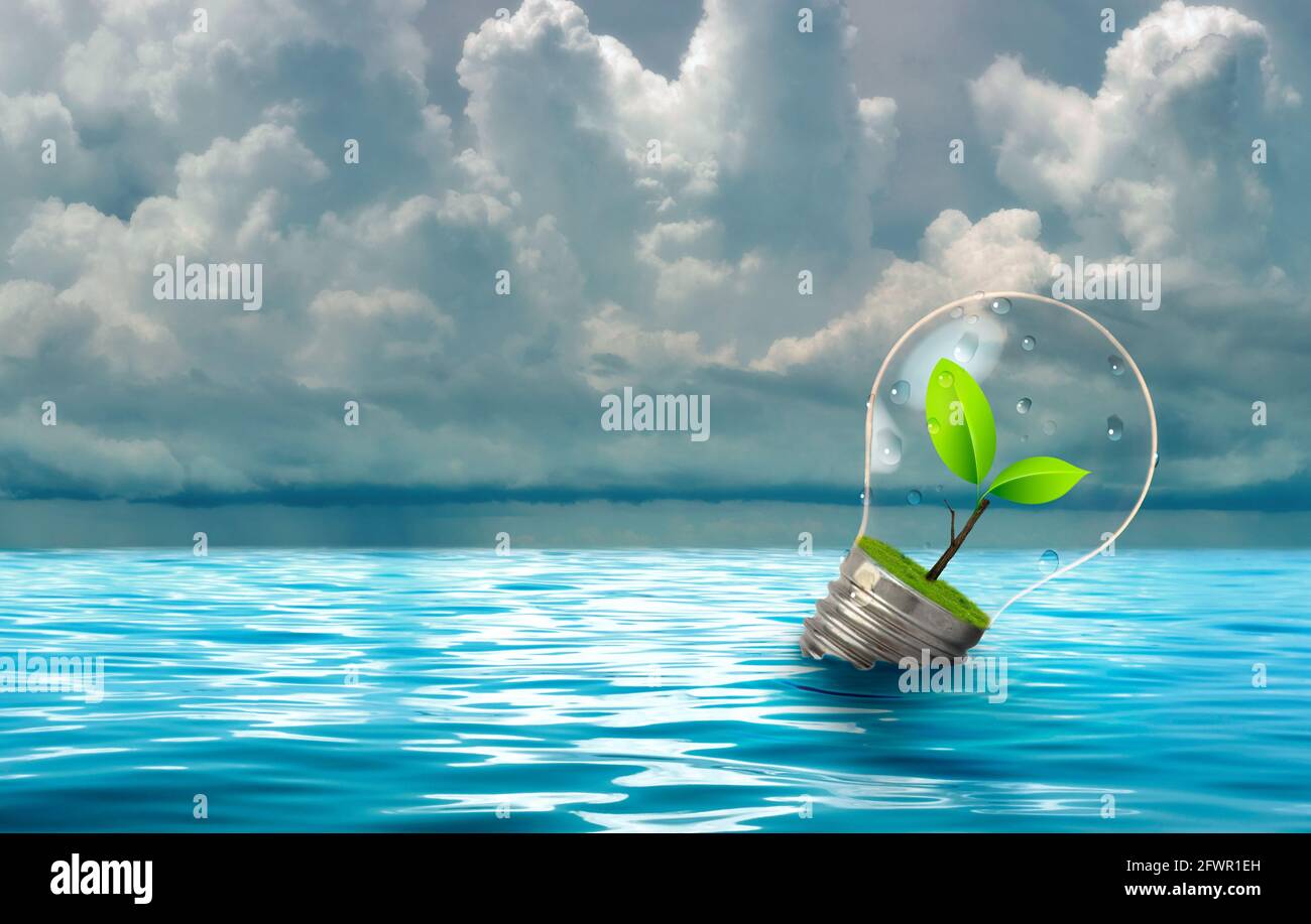 Glühbirne mit frischen grünen Blättern im Inneren gegen blaues Meer und blauen Himmel. Umwelt- und Energiekonzept. Stockfoto