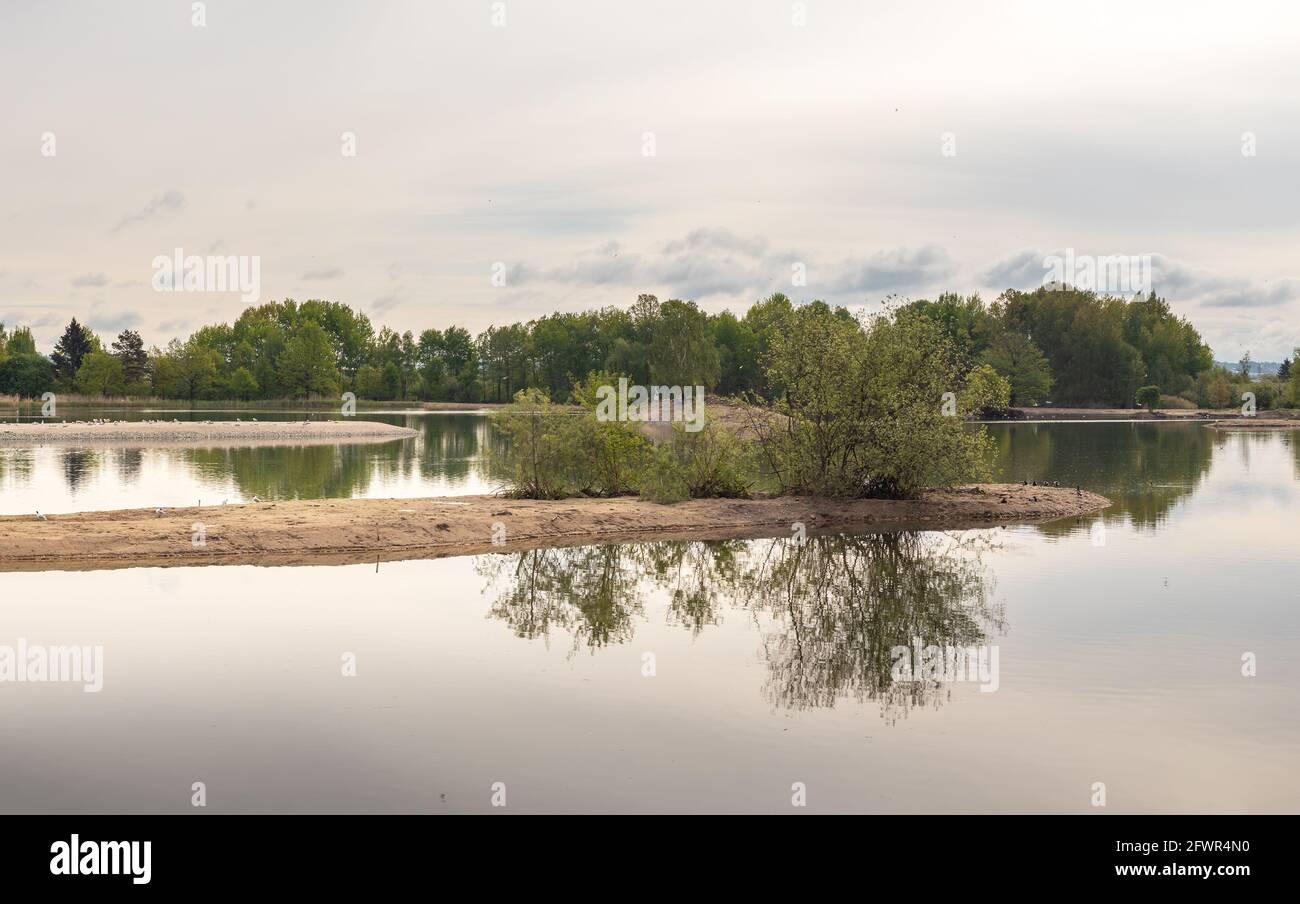 Kleine Inseln mit Wasservögeln im Teich, Naturschutzgebiet Vrbenske rybniky, Ceske Budejovice, Tschechische republik Stockfoto