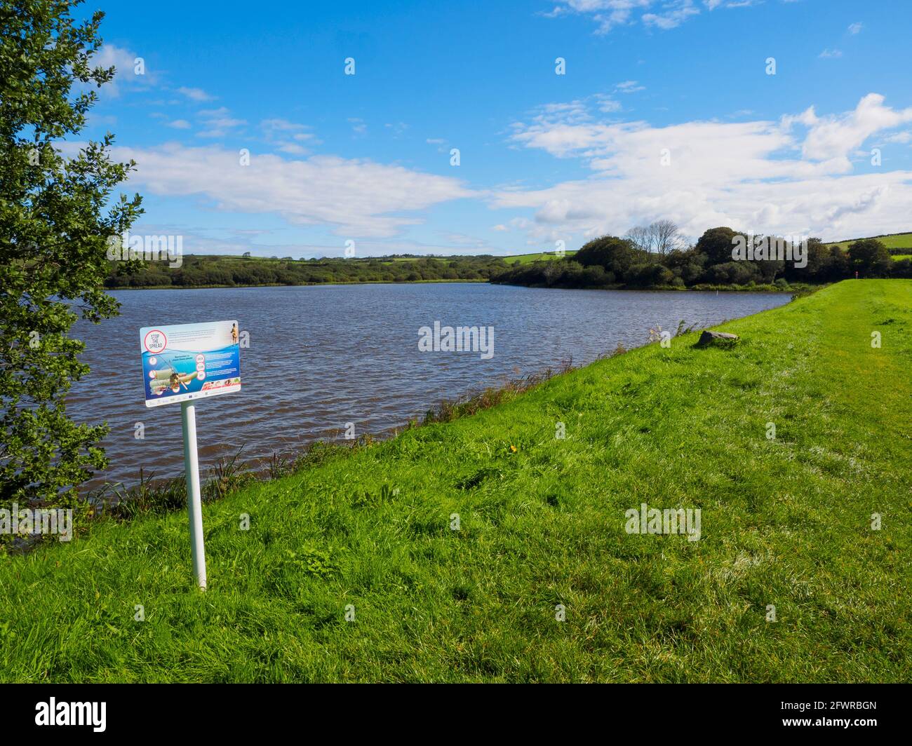 Lower Tamar Lake, Devon, Großbritannien Stockfoto