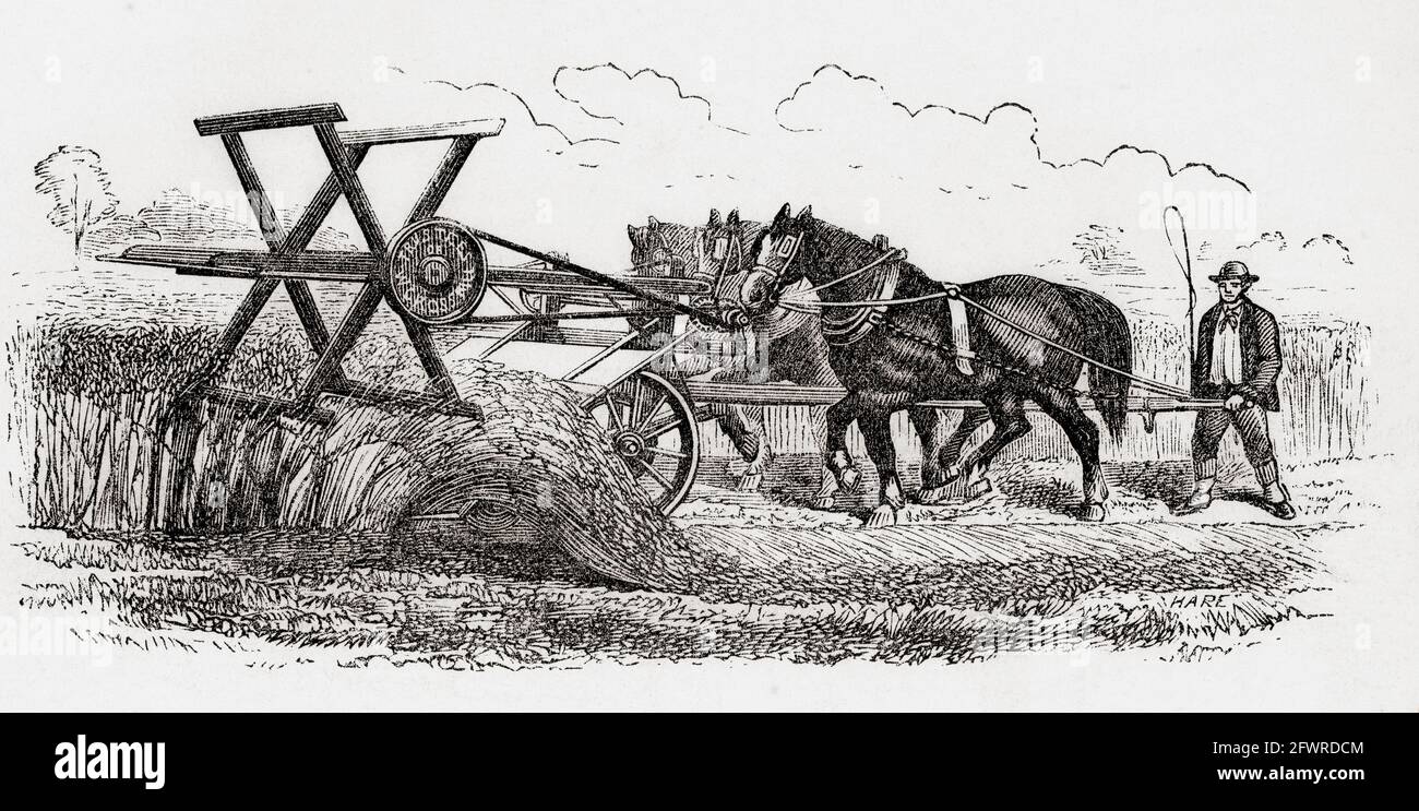 W. Crosskills drei-Pferde-Ernfmaschine. Aus EINER prägnanten Geschichte der Internationalen Ausstellung von 1862, veröffentlicht 1862. Stockfoto