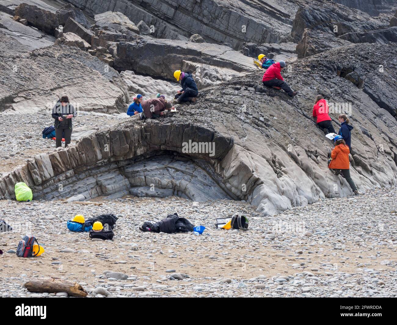 Studenten auf einer Exkursion, um die Felsen zu studieren, Bude, Cornwall, Großbritannien Stockfoto