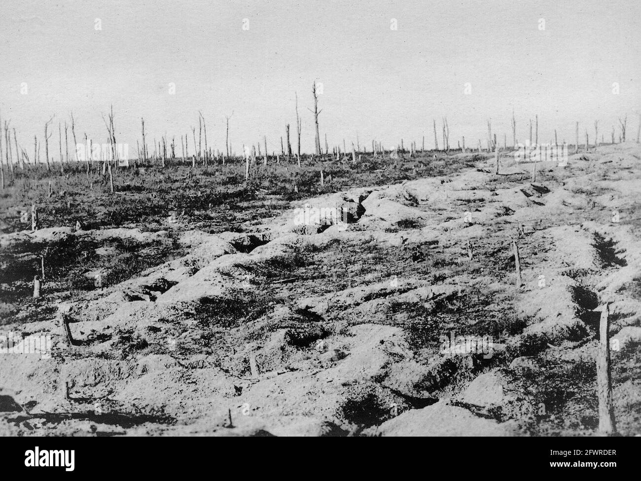 Der erste Weltkrieg in Frankreich. Die Überreste eines Waldes nach ein paar Stunden schweren Artilleriebombarkens. Im Vordergrund hastig konstruierte Schützengräben. Stockfoto