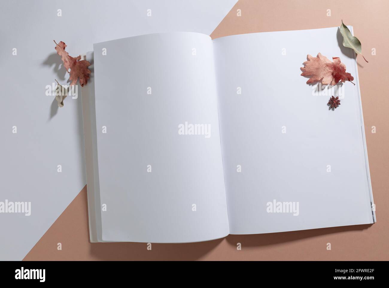 Komposition eines geöffneten Buches mit leeren Seiten, die mit Trockenheit verziert sind Blätter auf weiß und beige Stockfoto