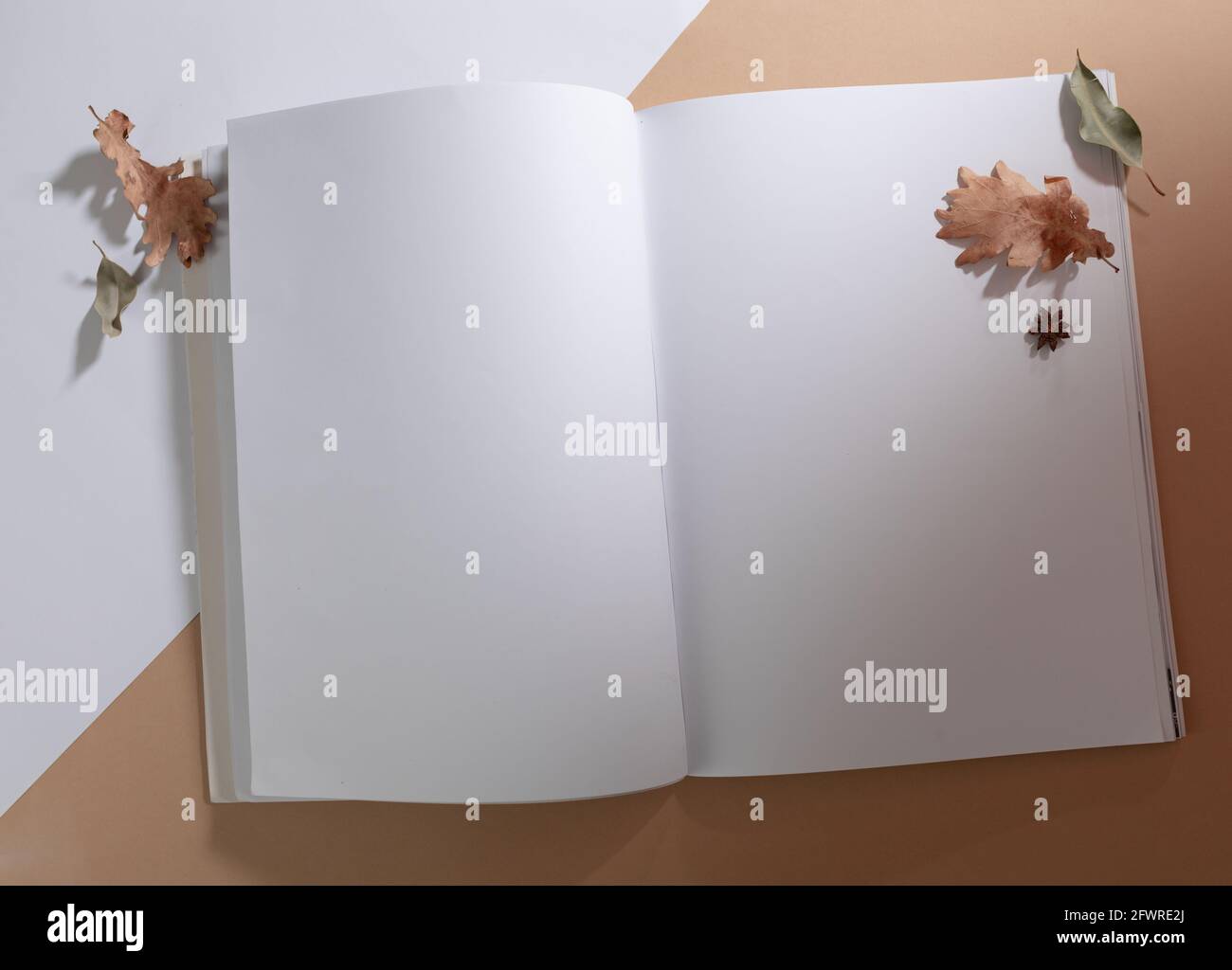 Komposition eines geöffneten Buches mit leeren Seiten, die mit Trockenheit verziert sind Blätter auf weiß und beige Stockfoto
