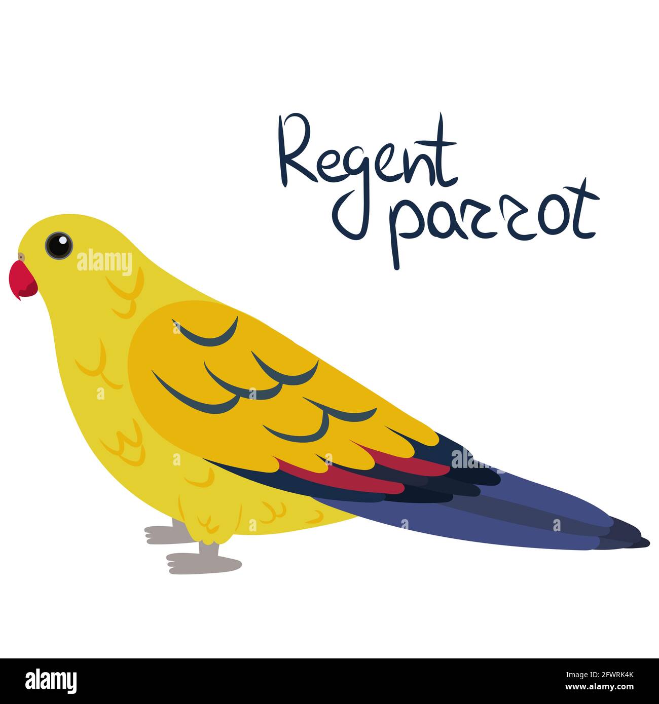 Regent Papagei oder Rock Pebbler in Cartoon-Stil auf weißem Hintergrund. Vektorgrafik handgezeichnete Illustration. Polytelis anthopeplus Stock Vektor