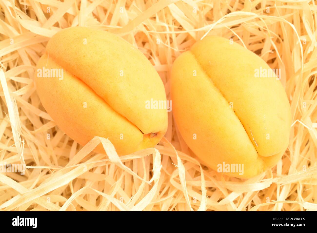 Zwei reife gelbe Ananas-Aprikosen, Makro, auf Holzschnitzeln, Draufsicht. Stockfoto