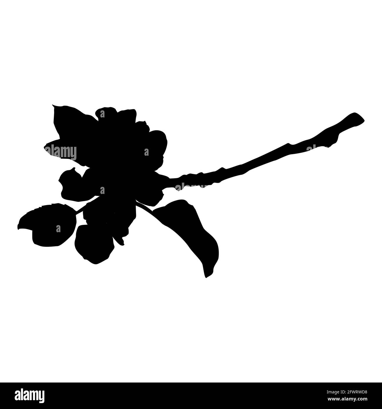 Apfelbaum Zweig in Blüte Silhouette, Vektor-Illustration. Apfelbaum-Zweig. Stock Vektor