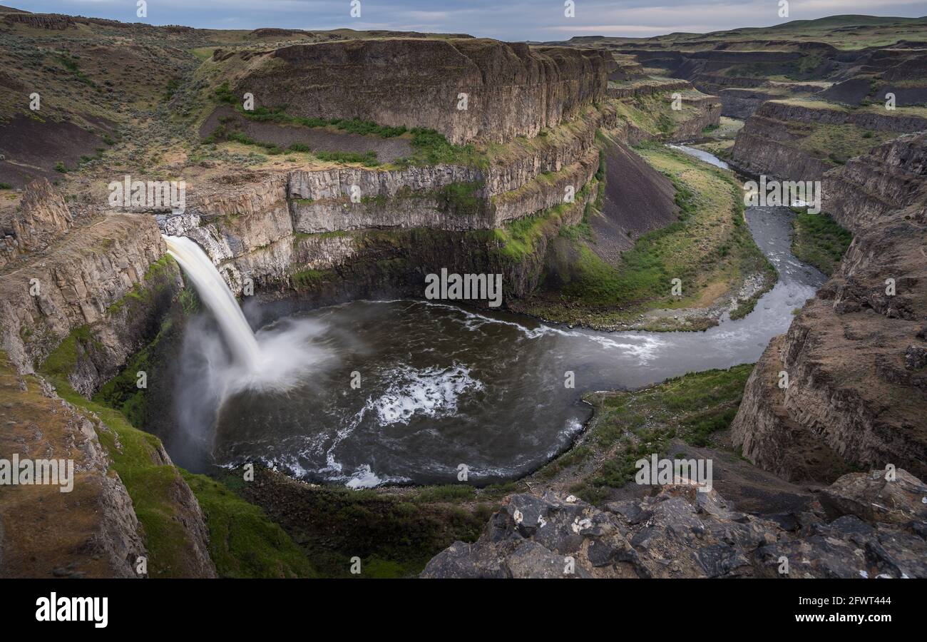 Palouse fällt im Sommer Stockfoto