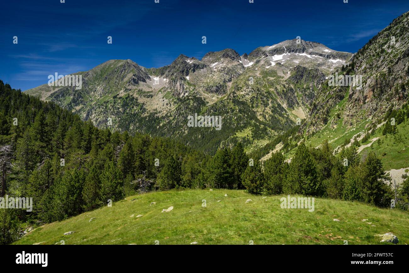 Aigüestortes Valley. Umgebung des Sees Estany Llong (Nationalpark Aigüestortes, Katalonien, Spanien, Pyrenäen) Stockfoto