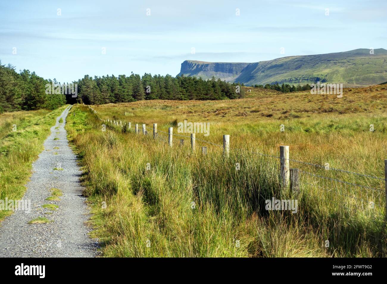 Benbulben oder Ben Bulben Loop Walk in der Grafschaft Sligo, Irland, Stockfoto