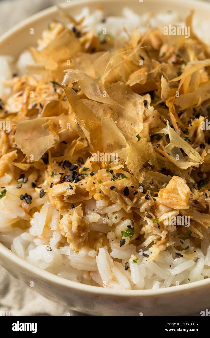 Gesunder hausgemachter Thunfisch-Katzenreis mit Sesamsamen und Bonito Flocken Stockfoto