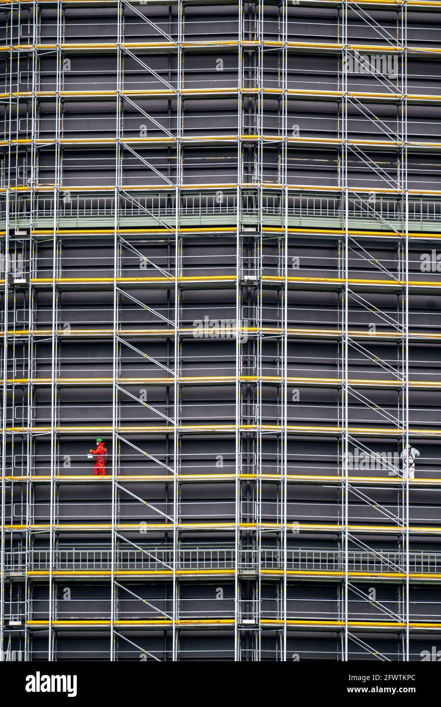 Renovierung des Oberhausen Gasometers, Korrosionsschutzarbeiten, Gerüste, Arbeiter am Gerüst, Oberhausen, NRW, Deutschland Stockfoto