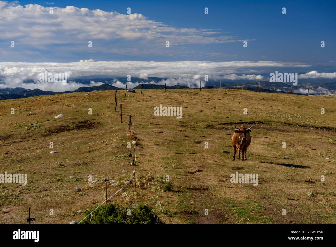 Serra del Catllaràs, in Ras de Clarent Wiesen mit Blick auf die Region (Berguedà, Katalonien, Spanien, Pyrenäen) Stockfoto