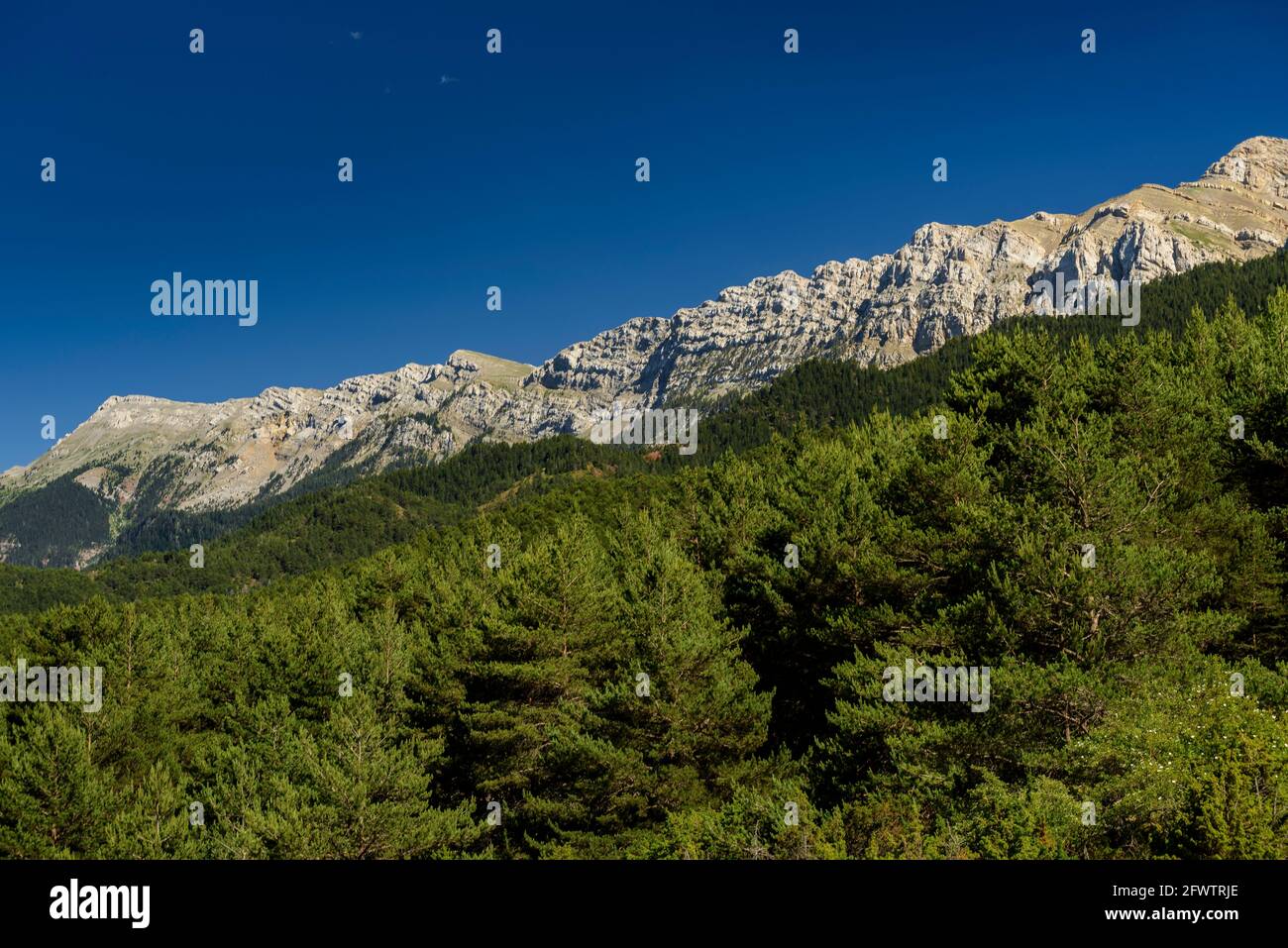 Serra de Cadí Nordwand vom Bergpass Collada Jussana aus gesehen (Cerdanya, Katalonien, Spanien, Pyrenäen) ESP: Vertiente norte de la sierra de Cadí Stockfoto