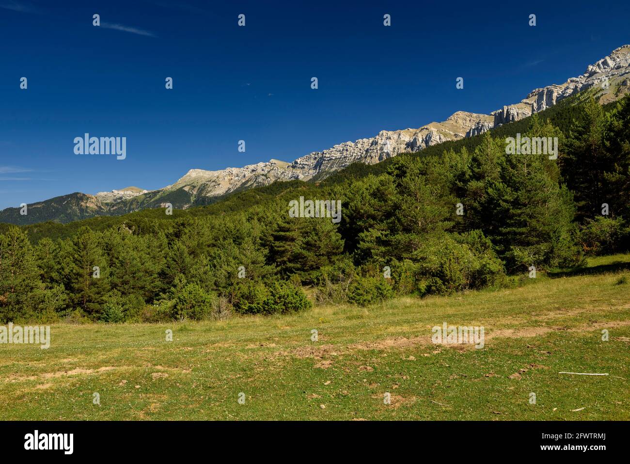 Serra de Cadí Nordwand vom Bergpass Collada Jussana aus gesehen (Cerdanya, Katalonien, Spanien, Pyrenäen) ESP: Vertiente norte de la sierra de Cadí Stockfoto