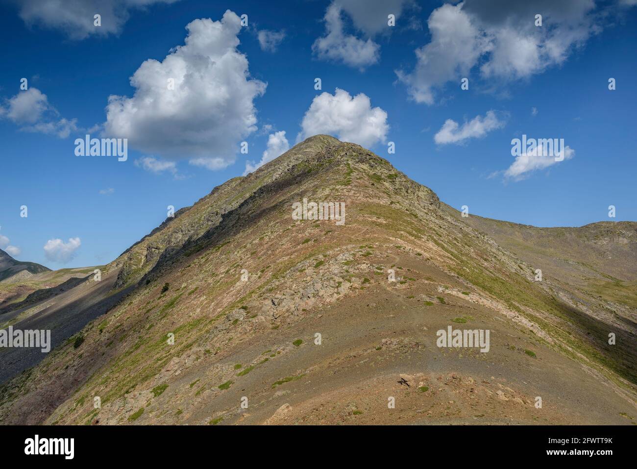Blick auf die Wanderung zum Pic Peric auf dem Südgrat (Pyrenees-Orientales, Frankreich) ESP: Vistas de la subida al Pic Peric por la cresta sur Stockfoto