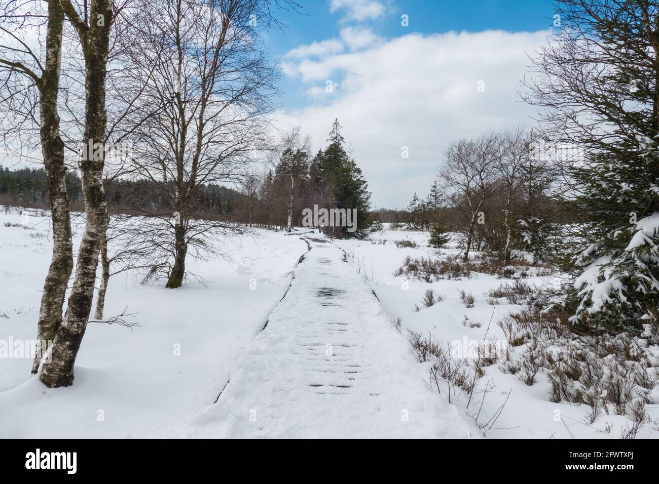 Hautes Fagnes, Belgien, 8. April 2021: Die Hautes Fagnes bilden eine Region, die sich erstreckt, in Belgien in der Wallonischen Region und in Deutschland im Rheinland-Pa Stockfoto
