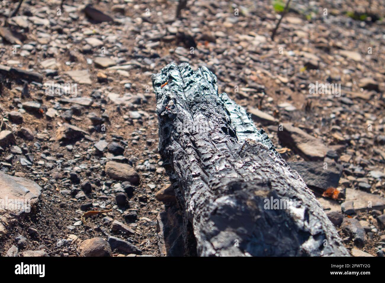 Kapstadt, Südafrika - 21-05-2021 Stockfoto