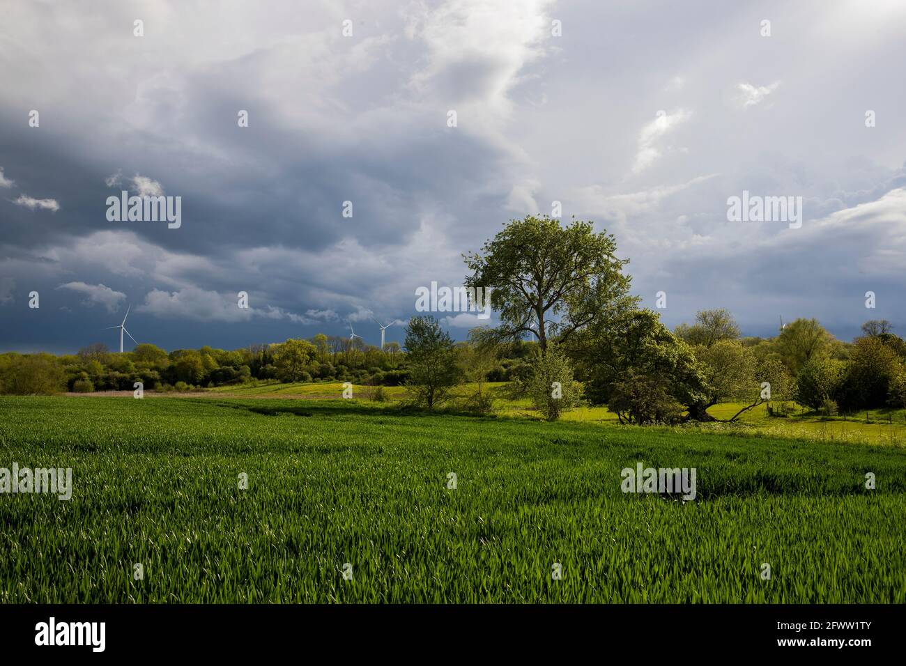 NORTHAMPTON, ENGLAND. MAI. Wegen der widrigen Wetterbedingungen im Mai am Montag, den 24. Mai 2021, ragen stürmische Himmel über der Landschaft in Northamptonshire. (Kredit: Leila Coker) Gutschrift: Leila Coker/Alamy Live News Stockfoto
