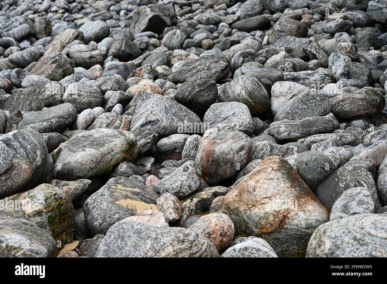 Abstrakt viele große graue Felsen, glatte und gemusterter Textur. Authentisch, am Strand auf Isle of Lewis, Äußere Hebriden, Schottland Stockfoto