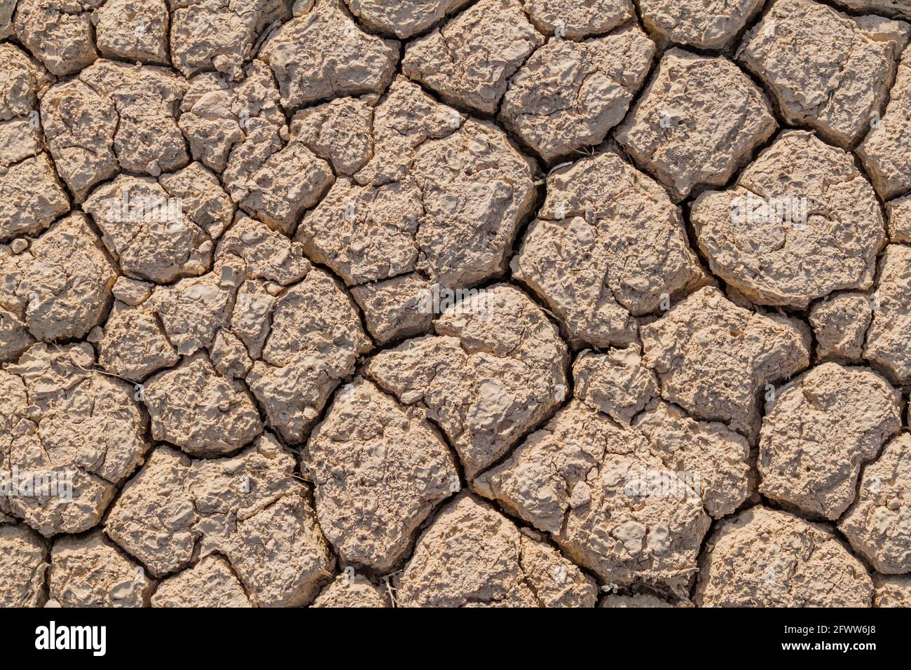 Hintergrund der getrockneten Schlammrisse auf dem Boden Stockfoto